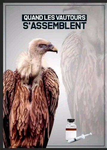 Quand les vautours s'assemblent